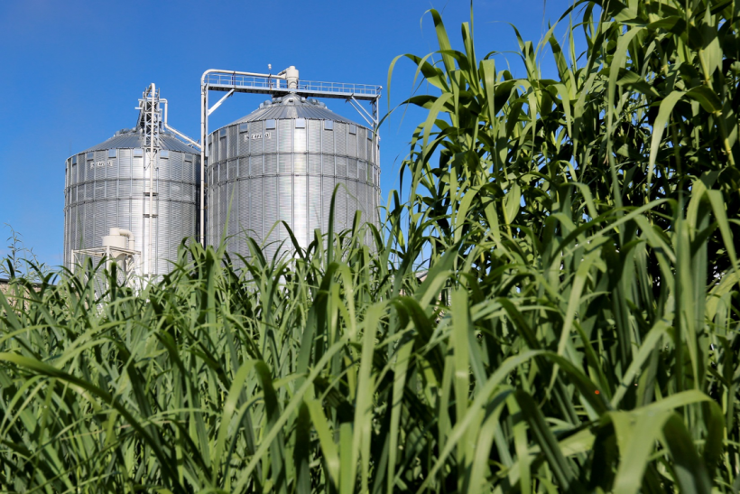 Biomass Resources